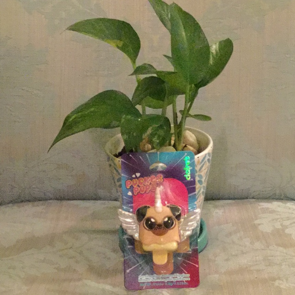 Pucker Pop Pug lip bom